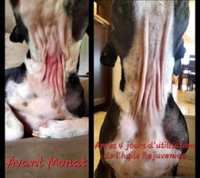 Charger l'image dans la galerie, Rejuveniqe