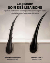 Charger l&#39;image dans la galerie, Système Soin des liaisons
